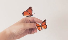 【動画】静止画なのに蝶々が動く?「Motionleap」の機能