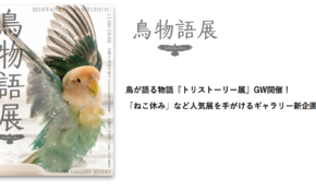 経営者もこぞって着ける！宝くじ当せんの祈願殺到の金運神社で祈祷したブレスレットで金運を