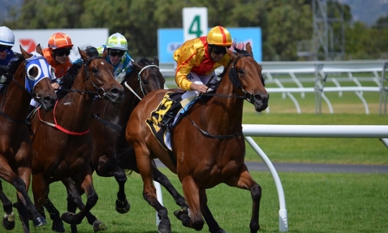 競馬は若い世代こそ有利！日本ダービー（G1）を若手予想家が分析