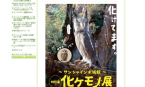 経営者もこぞって着ける！宝くじ当せんの祈願殺到の金運神社で祈祷したブレスレットで金運を