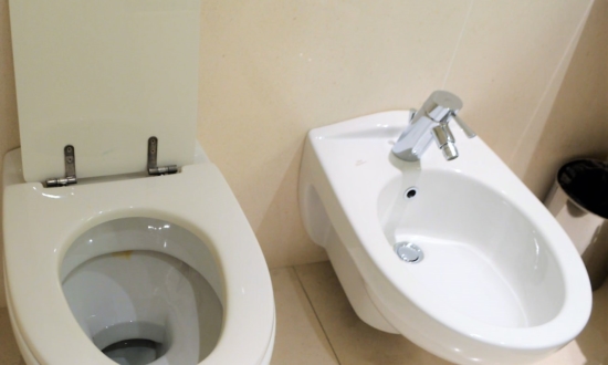 便器が2つのトイレどうやって使う？驚きの「世界のトイレ事情」4選