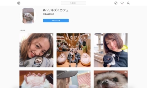 経営者もこぞって着ける！宝くじ当せんの祈願殺到の金運神社で祈祷したブレスレットで金運を