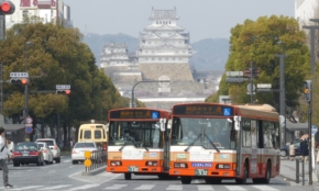 経営者もこぞって着ける！宝くじ当せんの祈願殺到の金運神社で祈祷したブレスレットで金運を