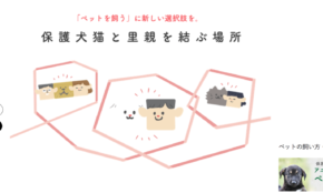経営者もこぞって着ける！宝くじ当せんの祈願殺到の金運神社で祈祷したブレスレットで金運を