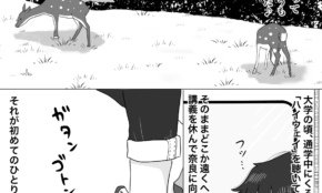 経営者もこぞって着ける！宝くじ当せんの祈願殺到の金運神社で祈祷したブレスレットで金運を