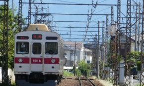 経営者もこぞって着ける！宝くじ当せんの祈願殺到の金運神社で祈祷したブレスレットで金運を