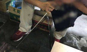 経営者もこぞって着ける！宝くじ当せんの祈願殺到の金運神社で祈祷したブレスレットで金運を