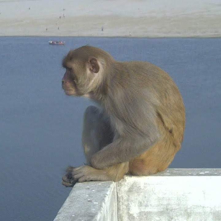 和泉太郎