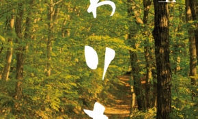 経営者もこぞって着ける！宝くじ当せんの祈願殺到の金運神社で祈祷したブレスレットで金運を