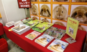 経営者もこぞって着ける！宝くじ当せんの祈願殺到の金運神社で祈祷したブレスレットで金運を