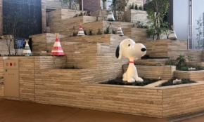 経営者もこぞって着ける！宝くじ当せんの祈願殺到の金運神社で祈祷したブレスレットで金運を