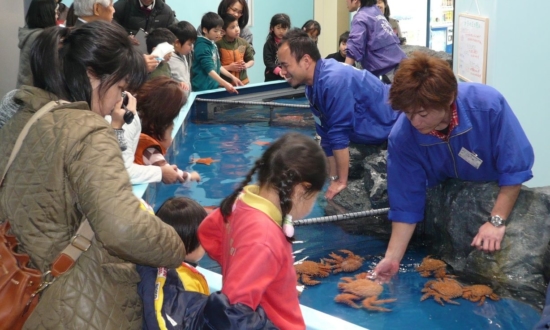 マツコの番組でも話題に！愛知の赤字水族館が大復活できたわけ