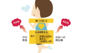 経営者もこぞって着ける！宝くじ当せんの祈願殺到の金運神社で祈祷したブレスレットで金運を
