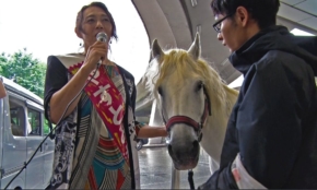 経営者もこぞって着ける！宝くじ当せんの祈願殺到の金運神社で祈祷したブレスレットで金運を