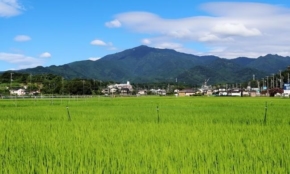 経営者もこぞって着ける！宝くじ当せんの祈願殺到の金運神社で祈祷したブレスレットで金運を