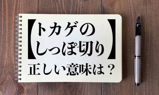 大阪・吉村知事も誤用した「トカゲのしっぽ切り」正しい意味は？