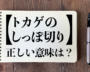 大阪・吉村知事も誤用した「トカゲのしっぽ切り」正しい意味は？