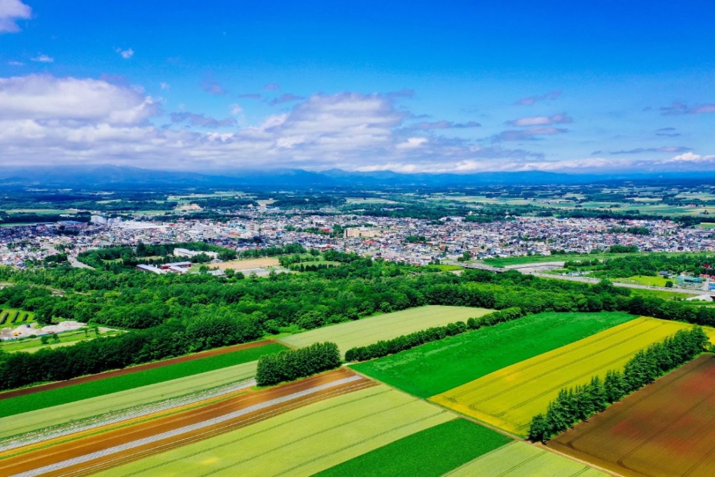 十勝平野