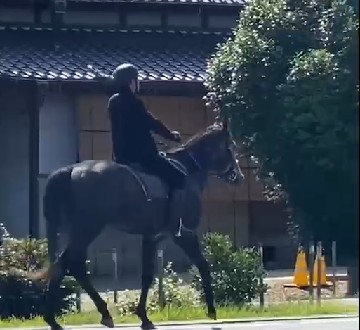 全国に2か所だけ。競走馬の調教施設がある村での生活とは