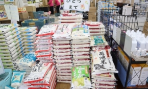 経営者もこぞって着ける！宝くじ当せんの祈願殺到の金運神社で祈祷したブレスレットで金運を