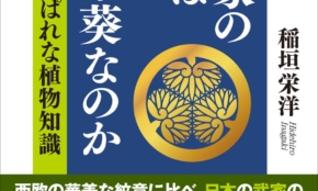 経営者もこぞって着ける！宝くじ当せんの祈願殺到の金運神社で祈祷したブレスレットで金運を