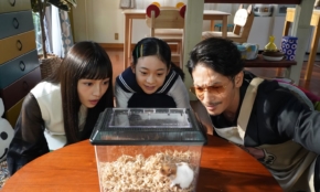 経営者もこぞって着ける！宝くじ当せんの祈願殺到の金運神社で祈祷したブレスレットで金運を