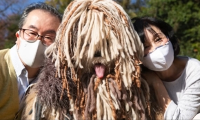 経営者もこぞって着ける！宝くじ当せんの祈願殺到の金運神社で祈祷したブレスレットで金運を