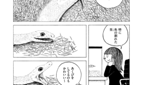 経営者もこぞって着ける！宝くじ当せんの祈願殺到の金運神社で祈祷したブレスレットで金運を
