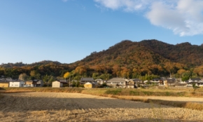 経営者もこぞって着ける！宝くじ当せんの祈願殺到の金運神社で祈祷したブレスレットで金運を