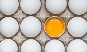 幻の卵料理は「黄身返し卵」だけじゃない？卵専門家が2つのレアなレシピをレクチャーします