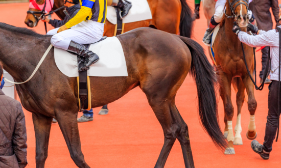 【25年前の今日の出来事】日本育ちの競走馬が仏G1を２週連続で制覇【国際】