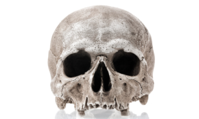 105個の真っ黒い頭がい骨が南千住の工事現場で発見される【25年前の今日の出来事】