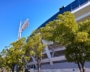 【25年前の今日の出来事】横浜ベイスターズが38年ぶりにセリーグ優勝【国内】