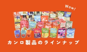 カンロのグミ生産能力が約30％増！「グミッツェル」人気拡大でブランドにも好影響