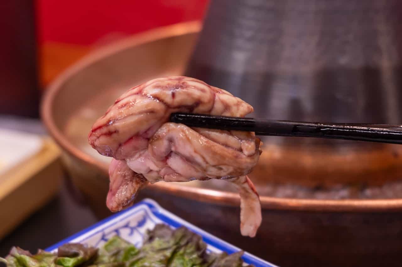 豚の脳みそアップ