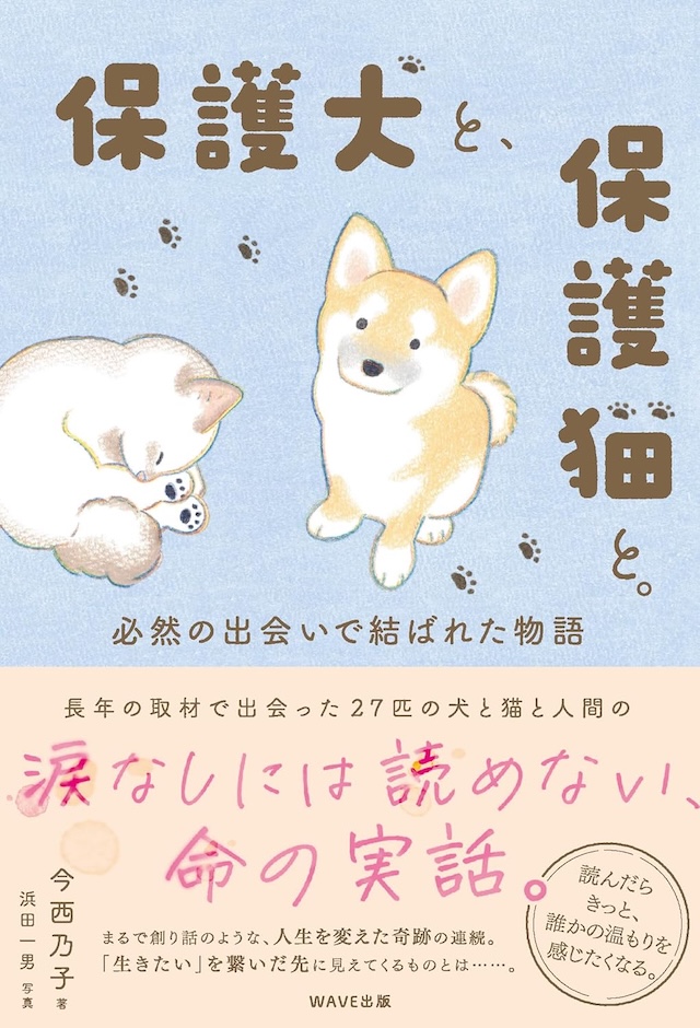 『保護犬と、保護猫と。 必然の出会いで結ばれた物語』