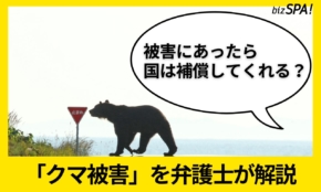 クマの被害にあったらどうする？ケガをしたら補償されるのか弁護士が解説