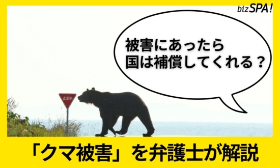 クマの被害にあったらどうする？ケガをしたら補償されるのか弁護士が解説