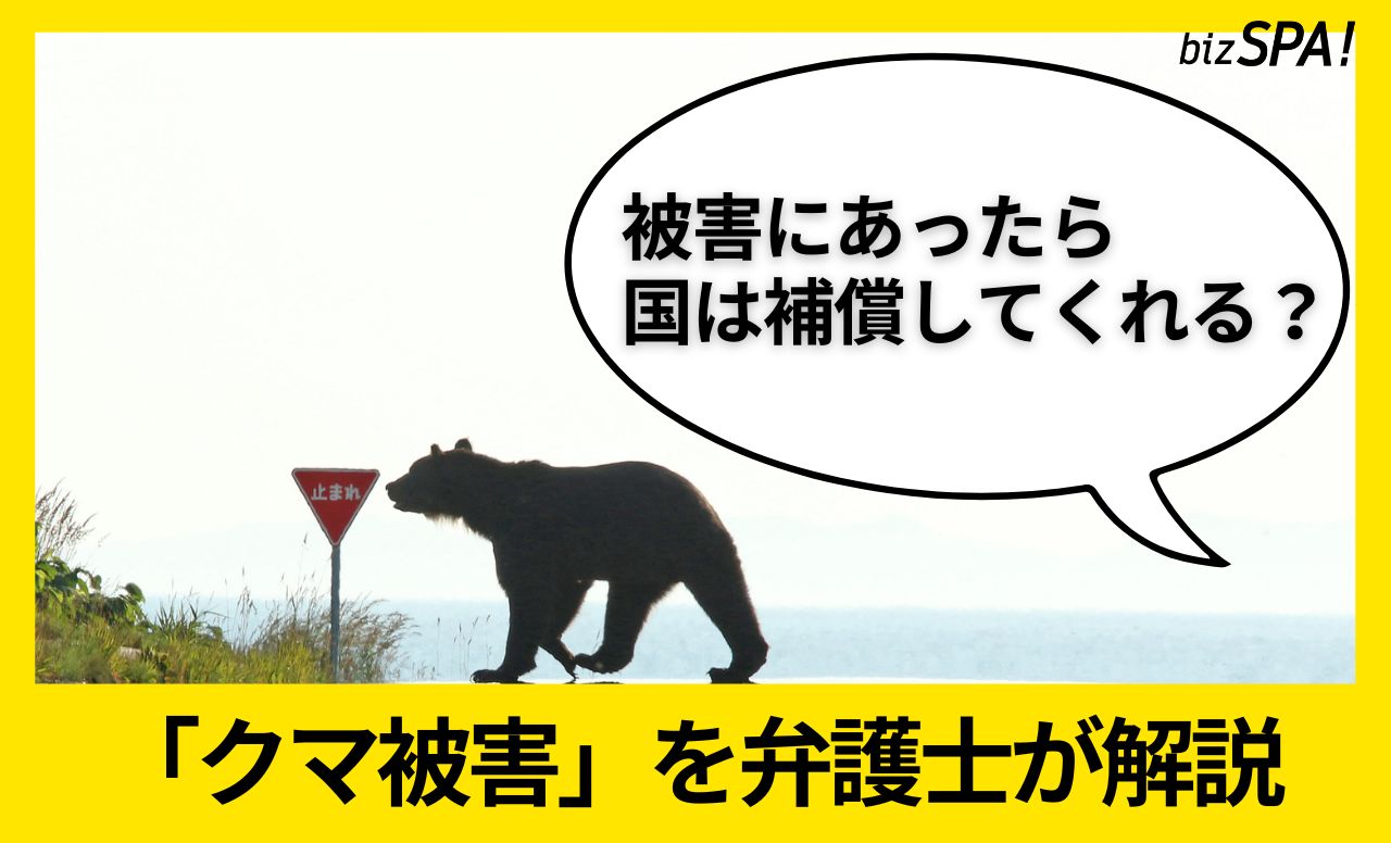 クマの被害にあったらどうする?ケガをしたら補償されるのか弁護士が解説