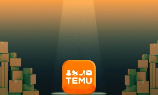 「初月から300万円売上げ」発見型EC・Temuが切り拓く販路の常識